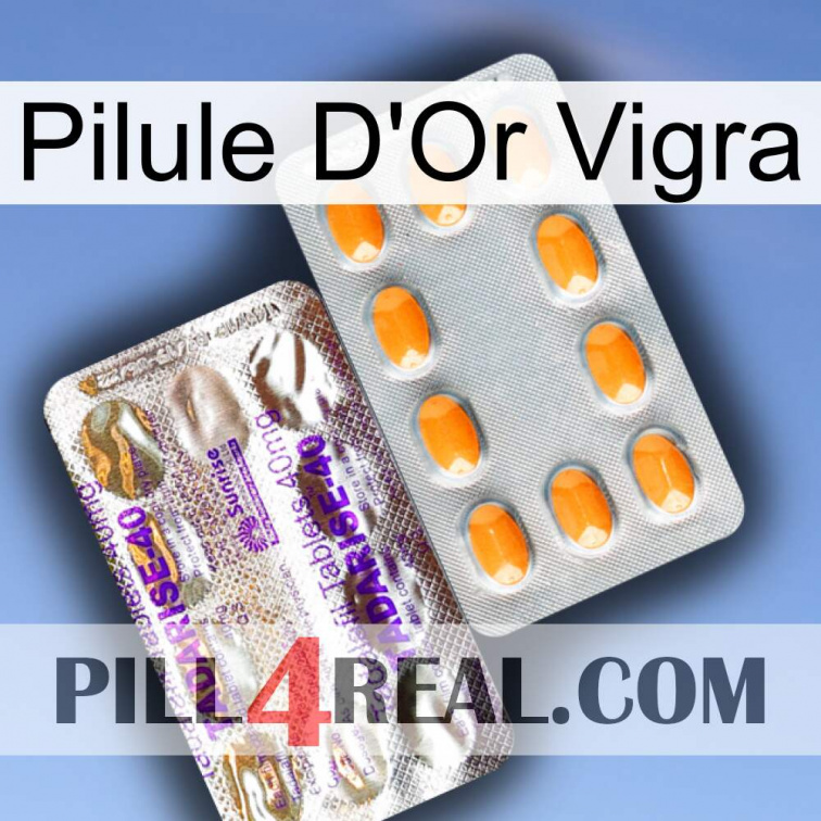 Vigra Gold Pill new12